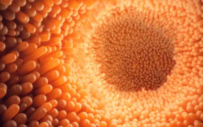 Cuáles son los síntomas del cáncer de estómago